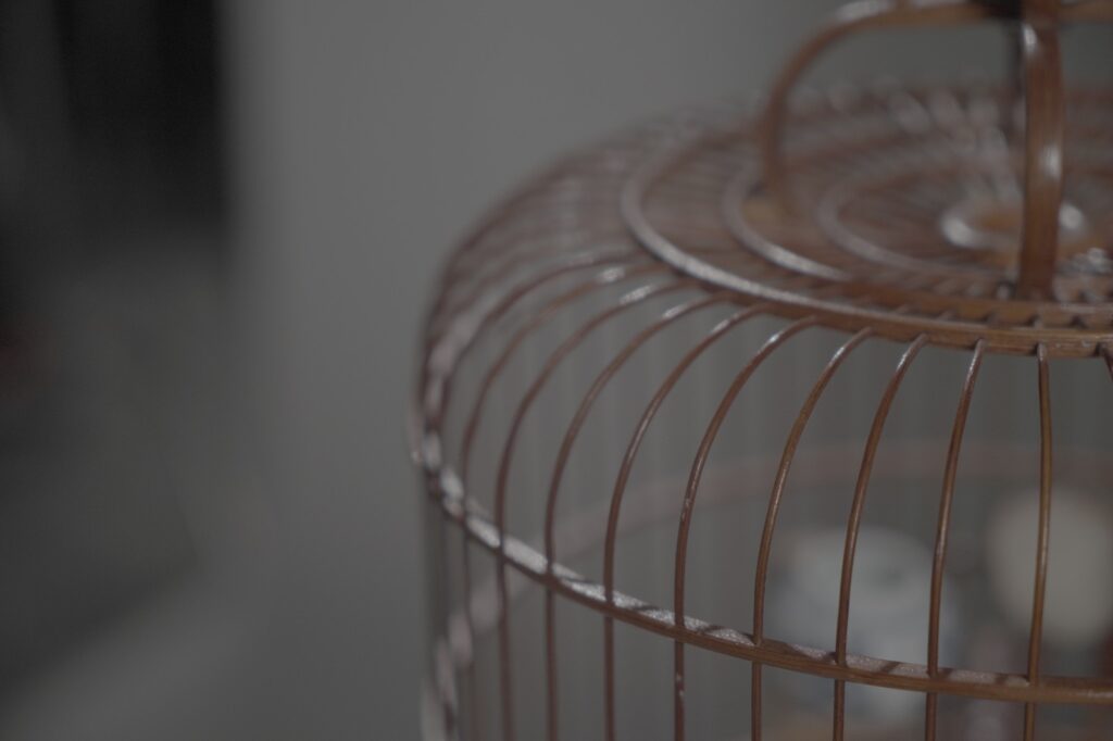 ‘A twist on the path of birdcage making: How can we reignite the passion for a dying craft’